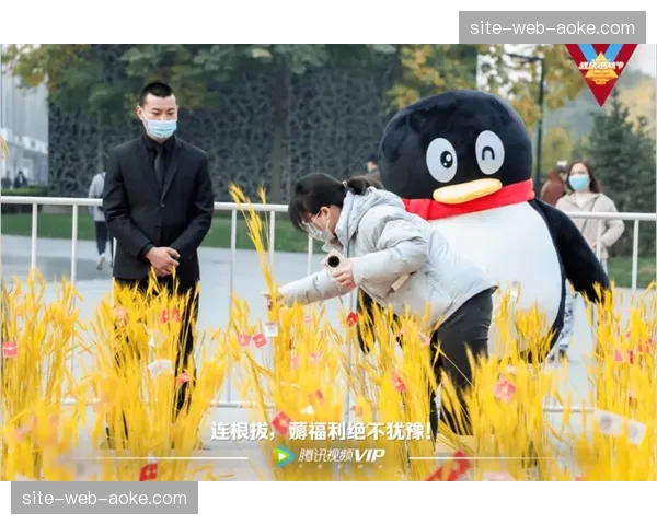 多平台联动机制下传播效能放大 助力赞助方在市场调整期获取超额声量