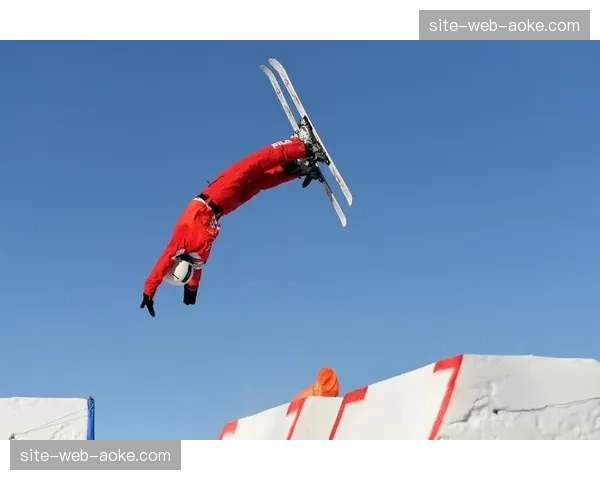 自由式滑雪空中技巧混合团体 中国队满额参赛战术搭配分析